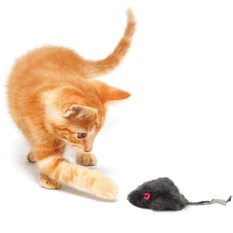 Famgee 20 PCS Furry Squeak Mouse Rattle Sound Plush Mice Fur Interactive Catch Play Catcher Pet Kitten Cat Toys (Random Color) - Image 3